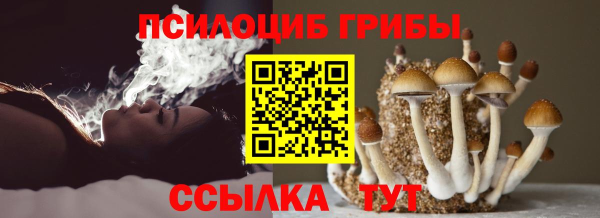 Псилоцибиновые грибы прущие грибы  Вход с VPN  Карабулак 